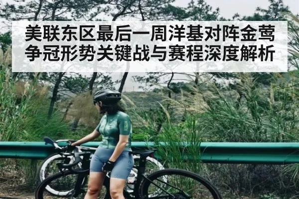 美联东区最后一周洋基对阵金莺争冠形势关键战与赛程深度解析